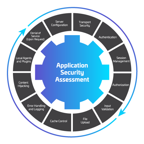 Application Security Assessment